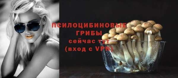 прущая мука Краснослободск