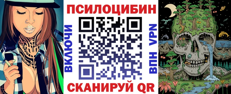 Купить где  Юхнов  Псилоцибиновые грибы Psilocybe 